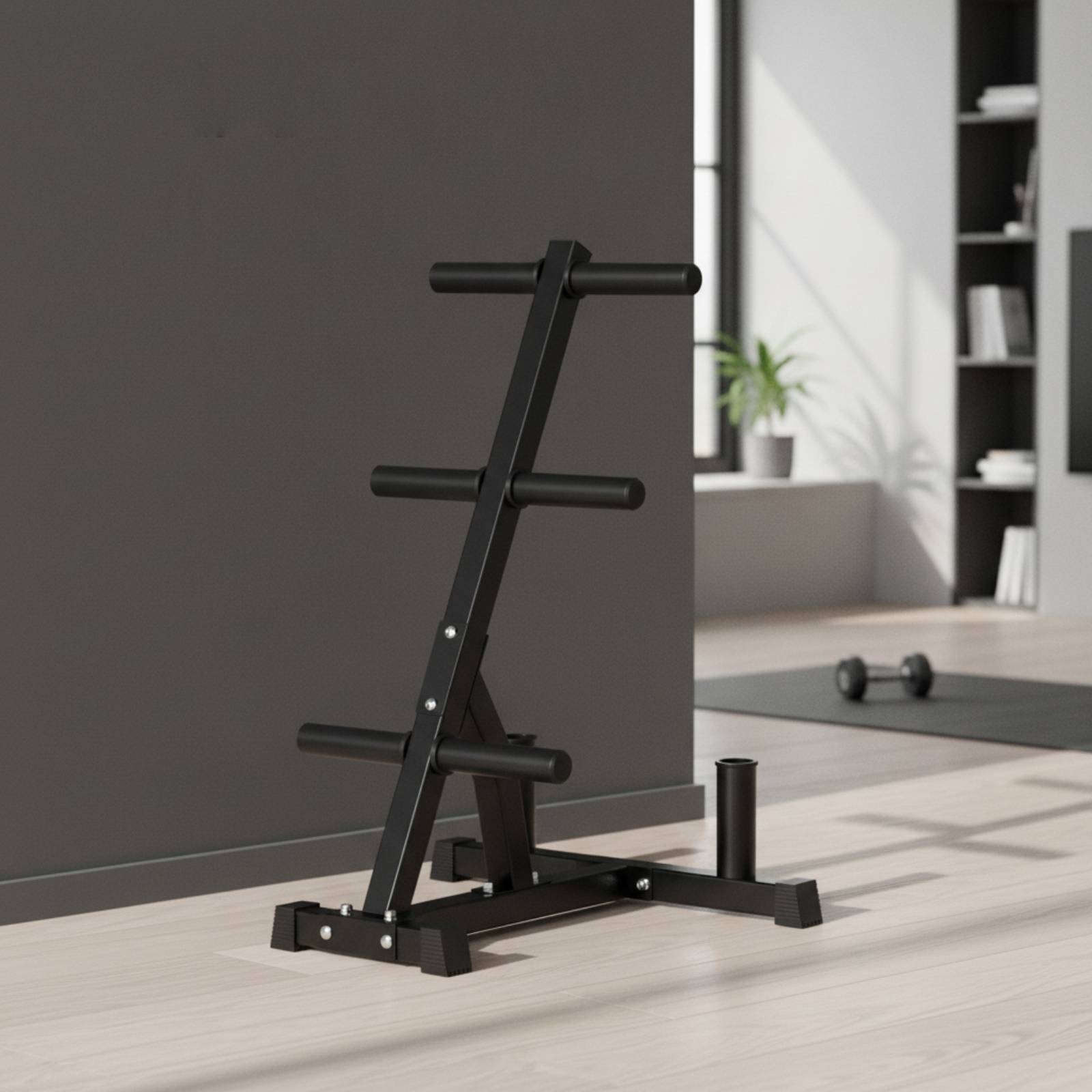 Barbell Plate Rack Space-Savin - đánh giá và giá Home Gym Folding Rack