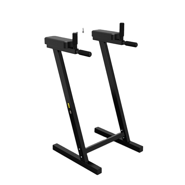 Adjustable Parallel Dip Bar St - đánh giá và giá Dip Station Parallel