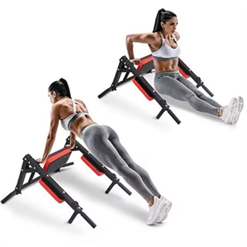 Heavy Duty Wall Mounted Parall - đánh giá và giá Home Gym Pull Up
